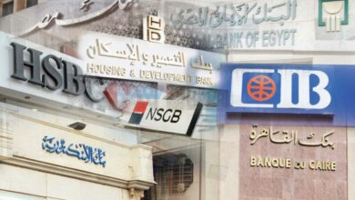 أفضل طريقة لاستثمار المال في البنوك المصرية وتحقيق الربح