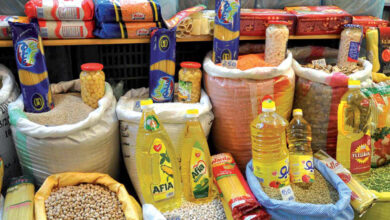 تجارة المواد الغذائية بالجملة في مصر