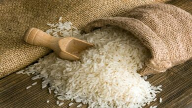 دراسة جدوى مشروع تجارة الأرز 2021