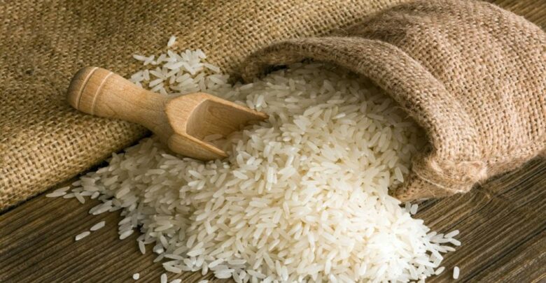 دراسة جدوى مشروع تجارة الأرز 2021