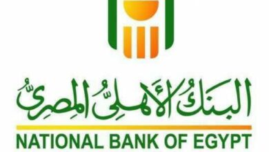 كيفية الحصول على كود المستخدم في البنك الأهلي المصري